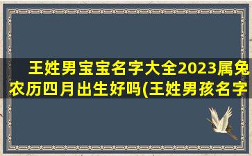 王姓男宝宝名字大全2023属兔农历四月出生好吗(王姓男孩名字2022年)