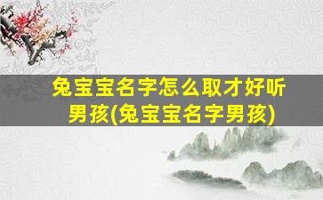 兔宝宝名字怎么取才好听男孩(兔宝宝名字男孩)