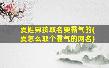夏姓男孩取名要霸气的(夏怎么取个霸气的网名)