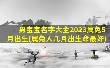 男宝宝名字大全2023属兔5月出生(属兔人几月出生命最好)
