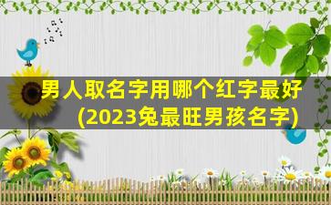 男人取名字用哪个红字最好(2023兔最旺男孩名字)