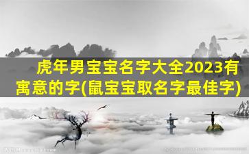虎年男宝宝名字大全2023有寓意的字(鼠宝宝取名字最佳字)
