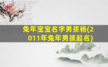 兔年宝宝名字男孩杨(2011年兔年男孩起名)