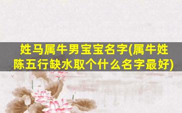 姓马属牛男宝宝名字(属牛姓陈五行缺水取个什么名字最好)