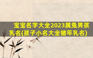 宝宝名字大全2023属兔男孩乳名(孩子小名大全猪年乳名)