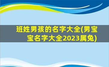 班姓男孩的名字大全(男宝宝名字大全2023属兔)