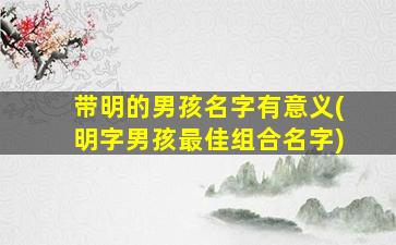 带明的男孩名字有意义(明字男孩最佳组合名字)