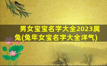 男女宝宝名字大全2023属兔(兔年女宝名字大全洋气)