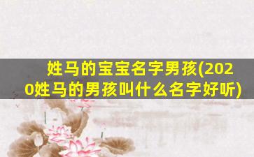 姓马的宝宝名字男孩(2020姓马的男孩叫什么名字好听)