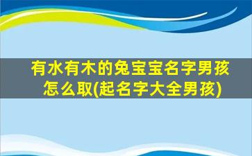 有水有木的兔宝宝名字男孩怎么取(起名字大全男孩)