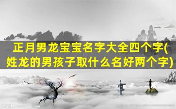 正月男龙宝宝名字大全四个字(姓龙的男孩子取什么名好两个字)