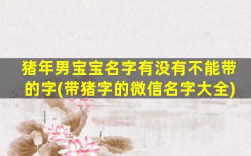 猪年男宝宝名字有没有不能带的字(带猪字的微信名字大全)