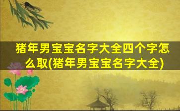 猪年男宝宝名字大全四个字怎么取(猪年男宝宝名字大全)