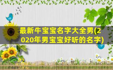最新牛宝宝名字大全男(2020年男宝宝好听的名字)