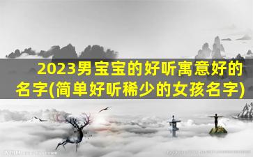 2023男宝宝的好听寓意好的名字(简单好听稀少的女孩名字)