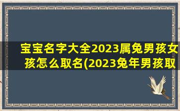 宝宝名字大全2023属兔男孩女孩怎么取名(2023兔年男孩取什么名字好)