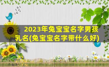 2023年兔宝宝名字男孩乳名(兔宝宝名字带什么好)