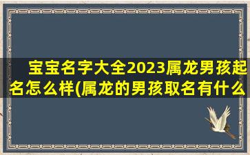 宝宝名字大全2023属龙男孩起名怎么样(属龙的男孩取名有什么讲究)