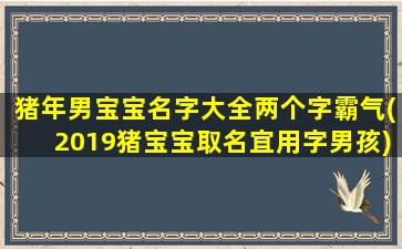 猪年男宝宝名字大全两个字霸气(2019猪宝宝取名宜用字男孩)