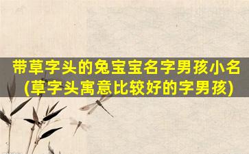 带草字头的兔宝宝名字男孩小名(草字头寓意比较好的字男孩)