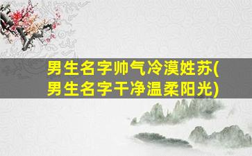 男生名字帅气冷漠姓苏(男生名字干净温柔阳光)