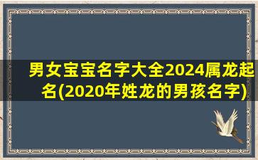 男女宝宝名字大全2024属龙起名(2020年姓龙的男孩名字)