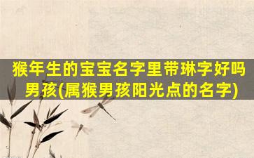 猴年生的宝宝名字里带琳字好吗男孩(属猴男孩阳光点的名字)