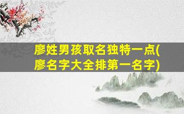 廖姓男孩取名独特一点(廖名字大全排第一名字)