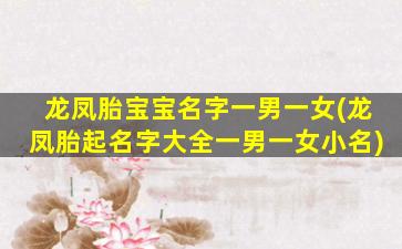 龙凤胎宝宝名字一男一女(龙凤胎起名字大全一男一女小名)