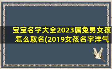 宝宝名字大全2023属兔男女孩怎么取名(2019女孩名字洋气)