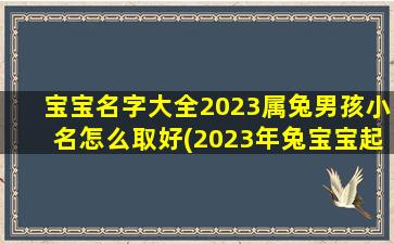 宝宝名字大全2023属兔男孩小名怎么取好(2023年兔宝宝起名字)