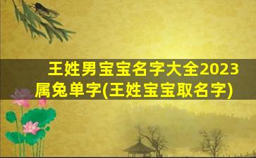 王姓男宝宝名字大全2023属兔单字(王姓宝宝取名字)