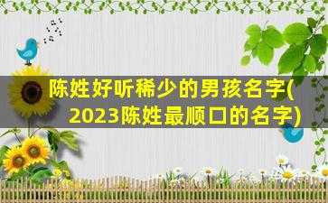 陈姓好听稀少的男孩名字(2023陈姓最顺口的名字)
