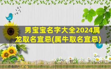 男宝宝名字大全2024属龙取名宜忌(属牛取名宜忌)