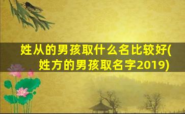 姓从的男孩取什么名比较好(姓方的男孩取名字2019)
