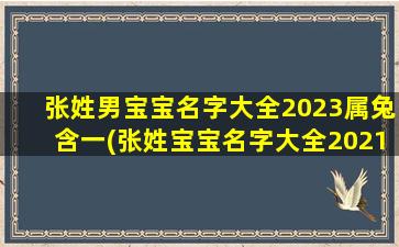 张姓男宝宝名字大全2023属兔含一(张姓宝宝名字大全2021属牛)