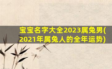 宝宝名字大全2023属兔男(2021年属兔人的全年运势)