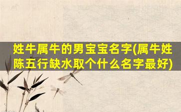 姓牛属牛的男宝宝名字(属牛姓陈五行缺水取个什么名字最好)