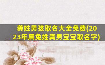 龚姓男孩取名大全免费(2023年属兔姓龚男宝宝取名字)