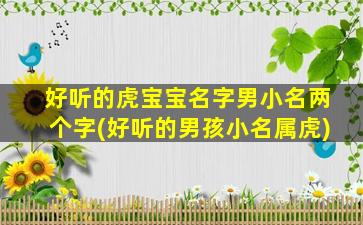 好听的虎宝宝名字男小名两个字(好听的男孩小名属虎)