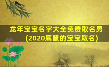 龙年宝宝名字大全免费取名男(2020属鼠的宝宝取名)
