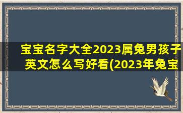 宝宝名字大全2023属兔男孩子英文怎么写好看(2023年兔宝宝男孩)