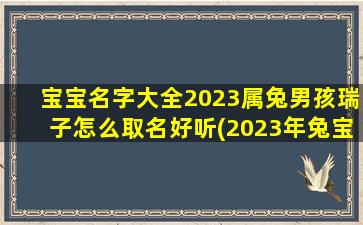 宝宝名字大全2023属兔男孩瑞子怎么取名好听(2023年兔宝宝起名字)
