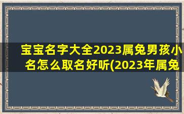 宝宝名字大全2023属兔男孩小名怎么取名好听(2023年属兔取名宜用字)