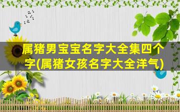属猪男宝宝名字大全集四个字(属猪女孩名字大全洋气)