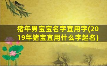 猪年男宝宝名字宜用字(2019年猪宝宜用什么字起名)