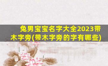 兔男宝宝名字大全2023带木字旁(带木字旁的字有哪些)