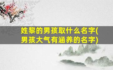 姓黎的男孩取什么名字(男孩大气有涵养的名字)