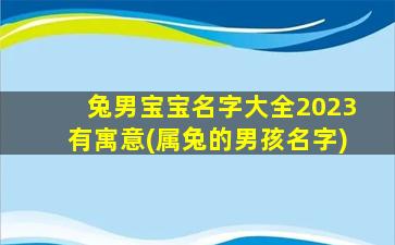 兔男宝宝名字大全2023有寓意(属兔的男孩名字)