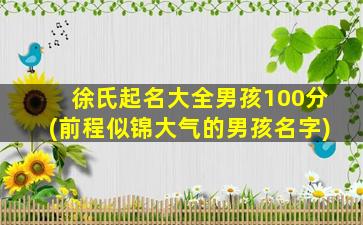 徐氏起名大全男孩100分(前程似锦大气的男孩名字)